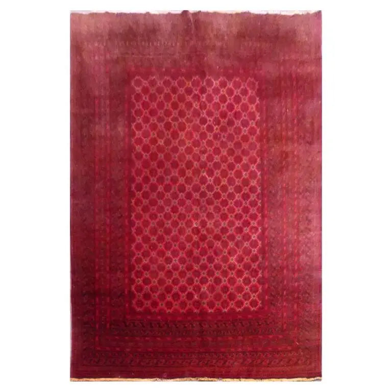 One Of The Kind Afghani Khotan Rug 8'3" x 11'6"